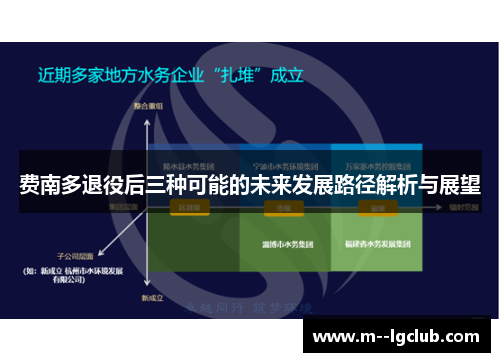 费南多退役后三种可能的未来发展路径解析与展望