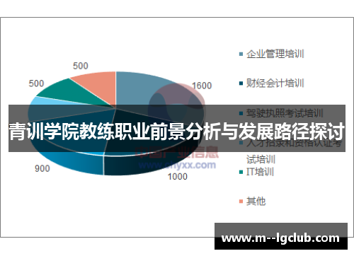 青训学院教练职业前景分析与发展路径探讨 青训学院教练职业前景分析与发展路径探讨