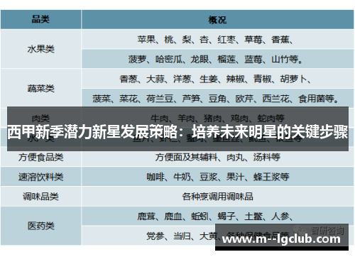 西甲新季潜力新星发展策略:培养未来明星的关键步骤 西甲新季潜力新星发展策略:培养未来明星的关键步骤