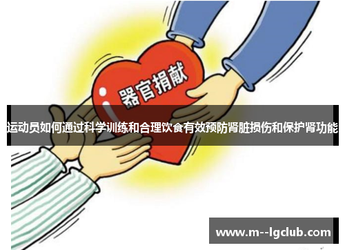 运动员如何通过科学训练和合理饮食有效预防肾脏损伤和保护肾功能